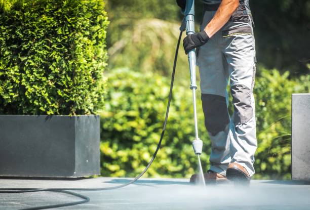 Best Sidewalk and Walkway Cleaning  in North Eagle Butte, SD